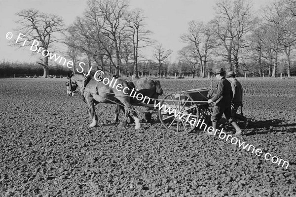 SOWING WINTER WHEAT MACHINE